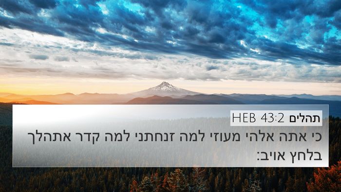תהלים 43:2 HEB Bible Verse Image