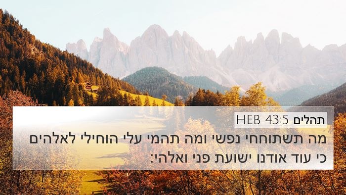 תהלים 43:5 HEB Bible Verse Image