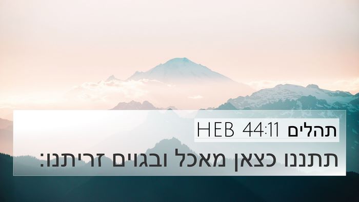 תהלים 44:11 HEB Bible Verse Image