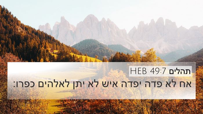 תהלים 49:7 HEB Bible Verse Image