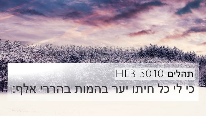תהלים 50:10 HEB Bible Verse Image