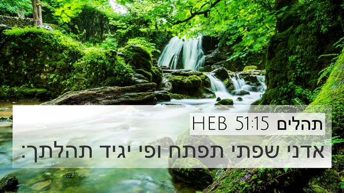 תהלים 51:15 HEB Bible Verse Image
