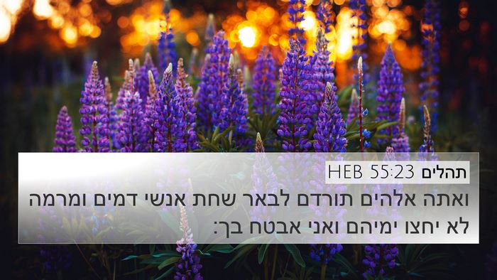 תהלים 55:23 HEB Bible Verse Image