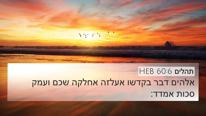 תהלים 60:6 HEB Bible Verse Image