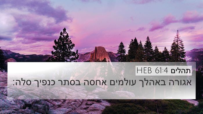 תהלים 61:4 HEB Bible Verse Image