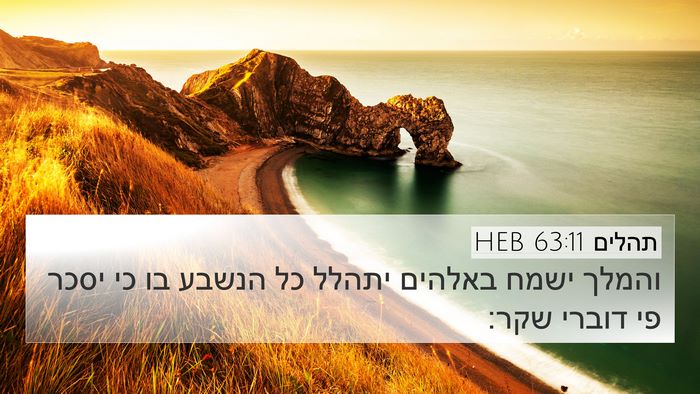 תהלים 63:11 HEB Bible Verse Image
