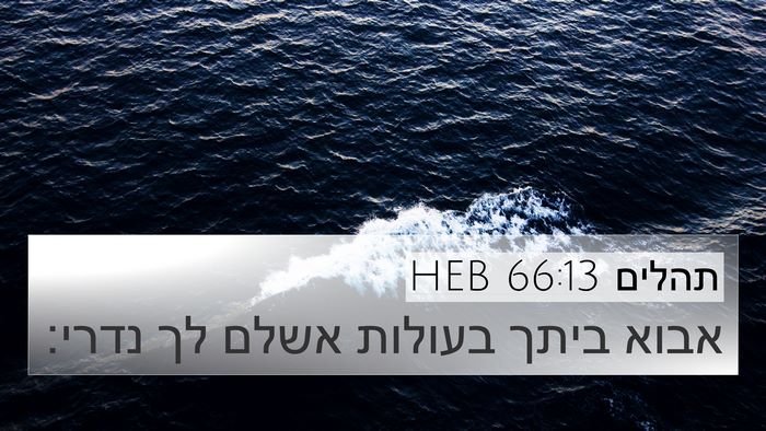 תהלים 66:13 HEB Bible Verse Image