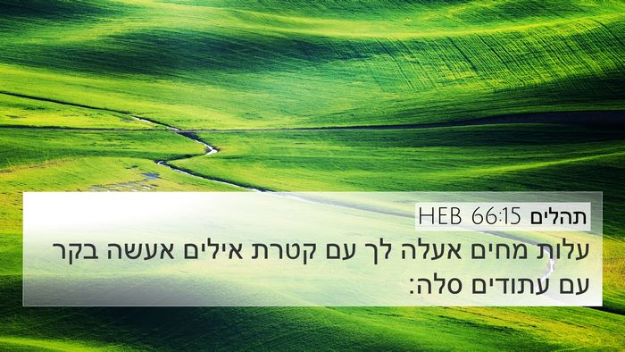 תהלים 66:15 HEB Bible Verse Image