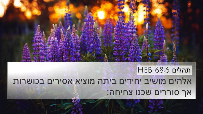 תהלים 68:6 HEB Bible Verse Image