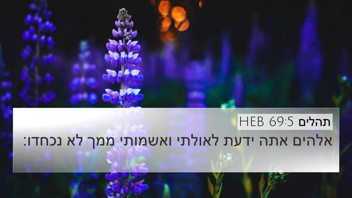 תהלים 69:5 HEB Bible Verse Image