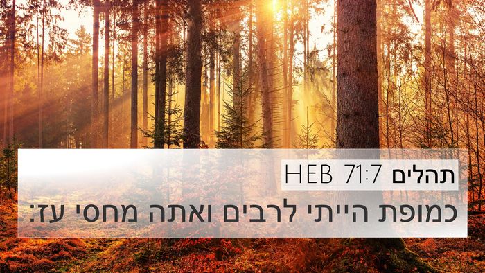 תהלים 71:7 HEB Bible Verse Image
