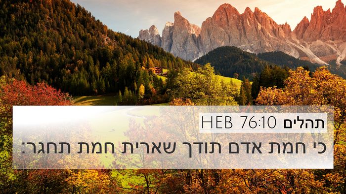 תהלים 76:10 HEB Bible Verse Image