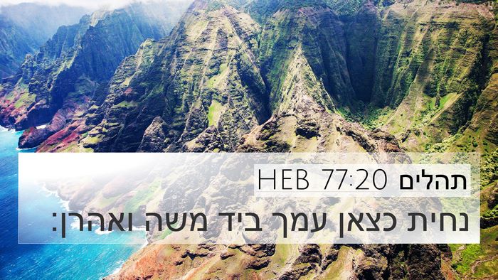 תהלים 77:20 HEB Bible Verse Image