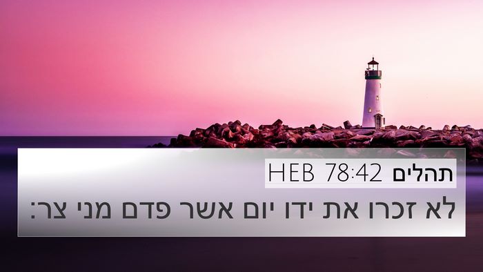 תהלים 78:42 HEB Bible Verse Image