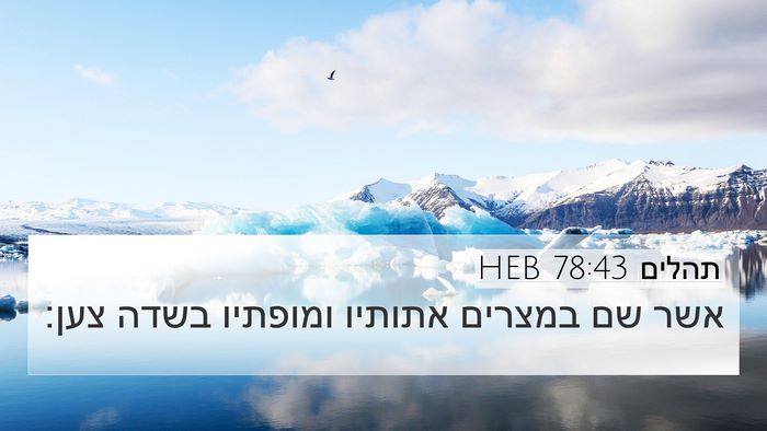 תהלים 78:43 HEB 4K Wallpaper - אשר שם במצרים אתותיו - 4K Wallpaper Bible Verse