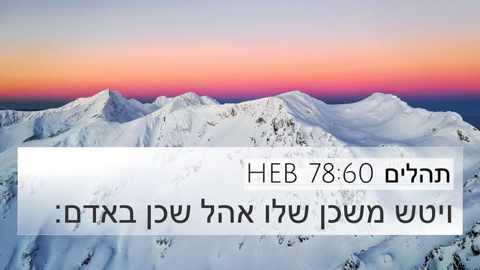 תהלים 78:60 HEB Bible Verse Image