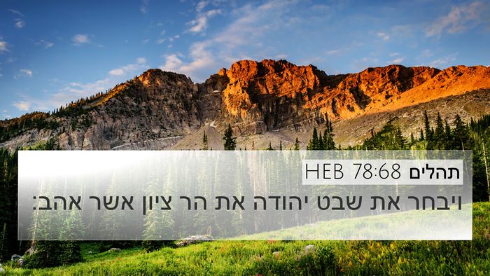 תהלים 78:68 HEB Bible Verse Image