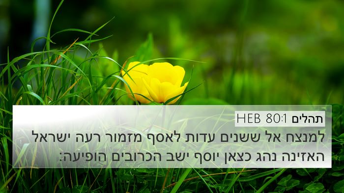 תהלים 80:1 HEB Bible Verse Image