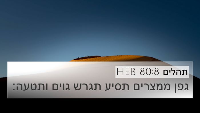 תהלים 80:8 HEB Bible Verse Image
