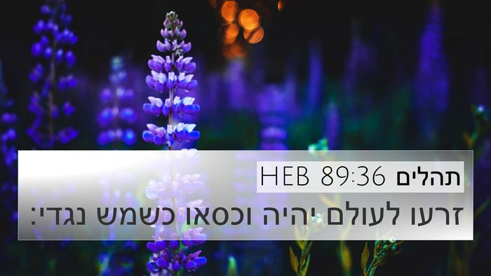 תהלים 89:36 HEB Bible Verse Image