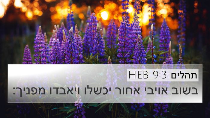 תהלים 9:3 HEB Bible Verse Image
