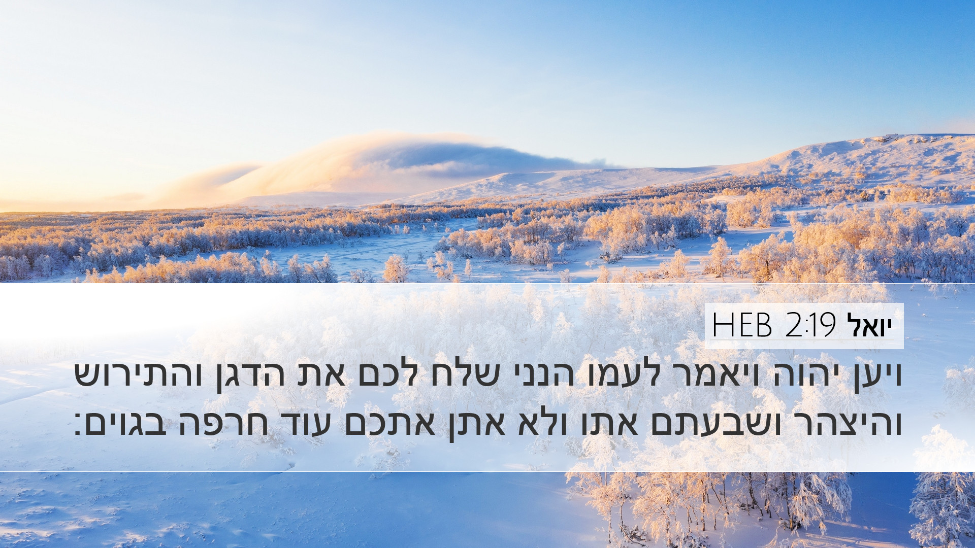 יואל 2:19 HEB Desktop Wallpaper - ויען יהוה ויאמר לעמו הנני