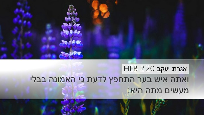 אגרת יעקב 2:20 HEB Bible Verse Image