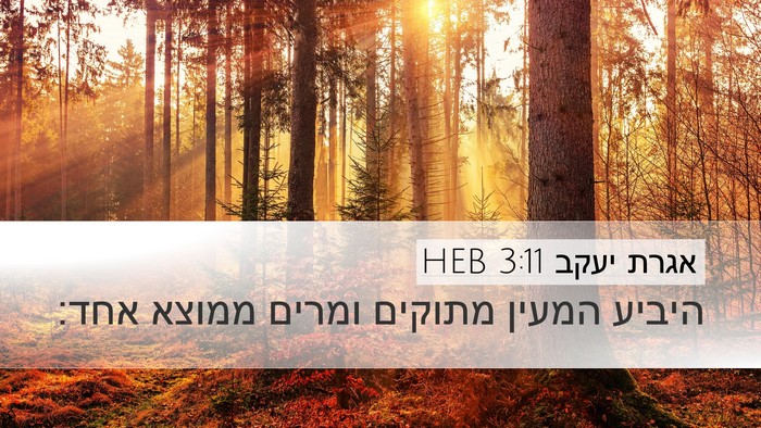 אגרת יעקב 3:11 HEB Desktop Wallpaper - היביע המעין מתוקים ומרים - Desktop Bible Verse Wallpaper