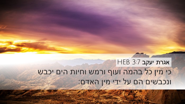 אגרת יעקב 3:7 HEB Bible Verse Image