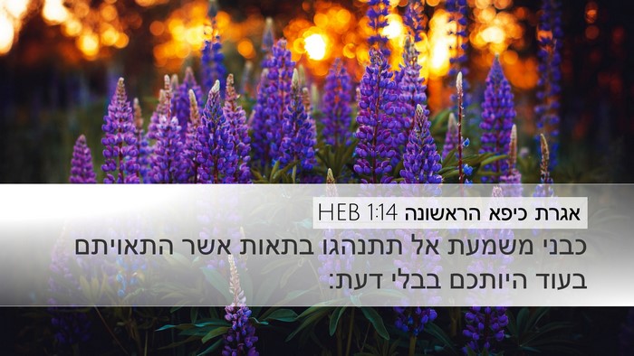 אגרת כיפא הראשונה 1:14 HEB Bible Verse Image