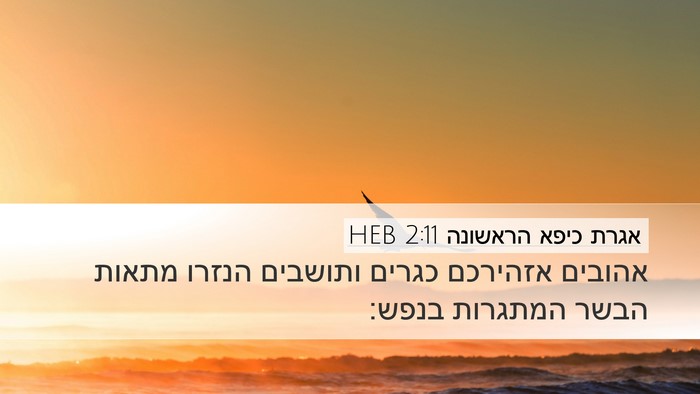 אגרת כיפא הראשונה 2:11 HEB Desktop Wallpaper - אהובים אזהירכם כגרים - Desktop Bible Verse Wallpaper