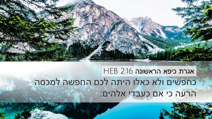אגרת כיפא הראשונה 2:16 HEB Bible Verse Image