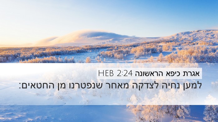 אגרת כיפא הראשונה 2:24 HEB Bible Verse Image