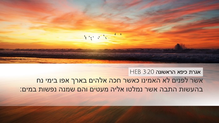 אגרת כיפא הראשונה 3:20 HEB Bible Verse Image