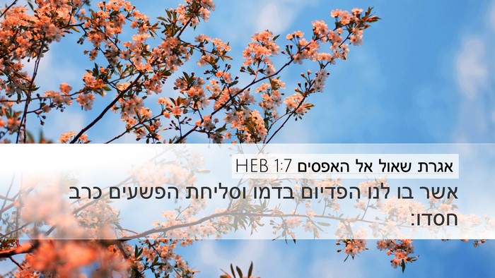 אגרת שאול אל האפסים 1:7 HEB Bible Verse Image