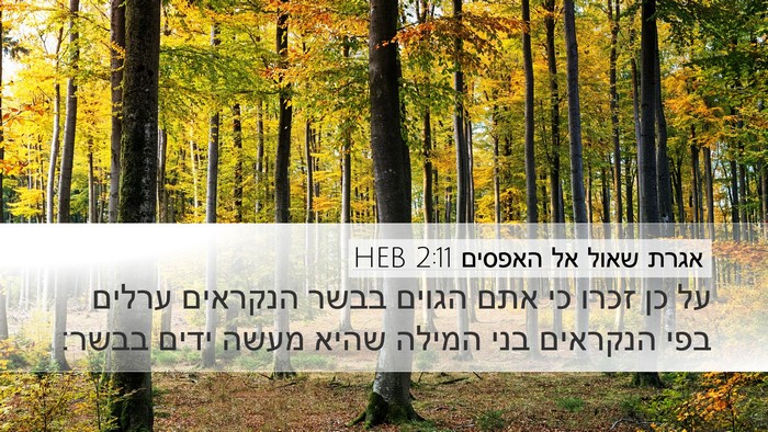 אגרת שאול אל האפסים 2:11 HEB Bible Verse Image