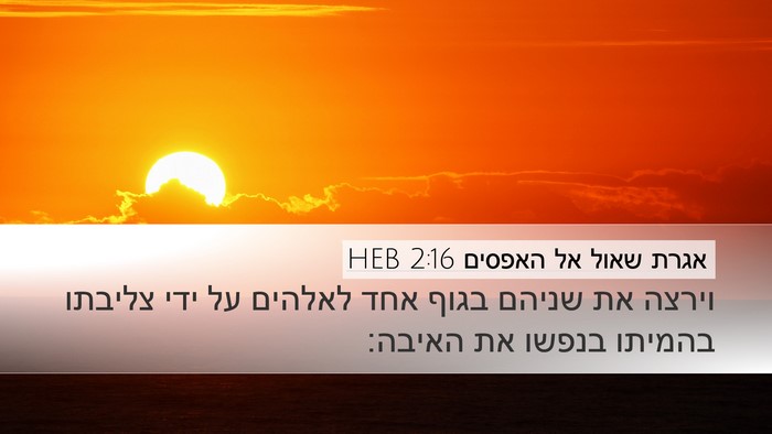 אגרת שאול אל האפסים 2:16 HEB Bible Verse Image