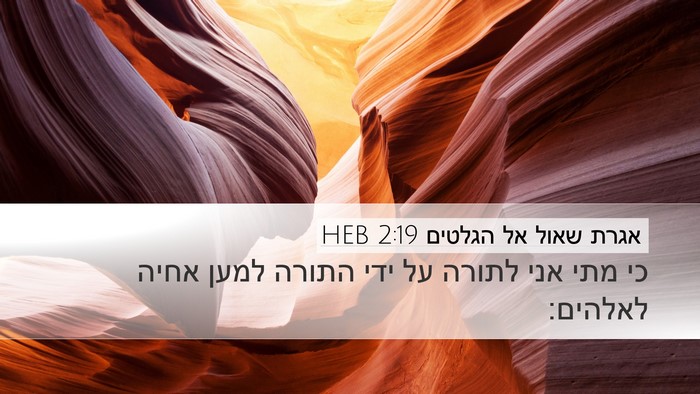 אגרת שאול אל הגלטים 2:19 HEB Bible Verse Image
