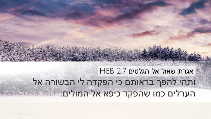 אגרת שאול אל הגלטים 2:7 HEB Bible Verse Image
