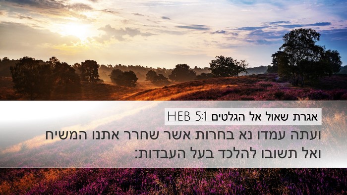 אגרת שאול אל הגלטים 5:1 HEB Bible Verse Image