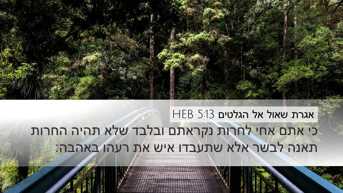 אגרת שאול אל הגלטים 5:13 HEB Bible Verse Image