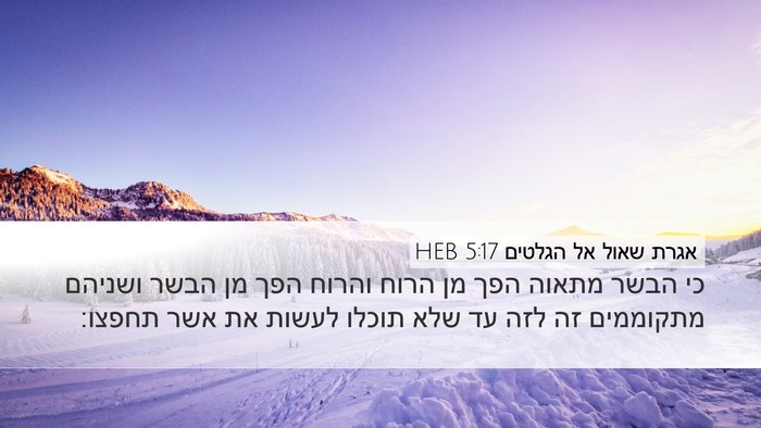 אגרת שאול אל הגלטים 5:17 HEB Bible Verse Image