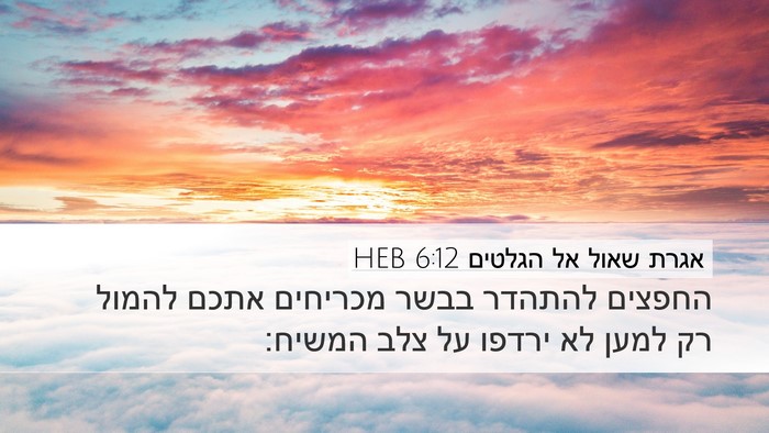 אגרת שאול אל הגלטים 6:12 HEB Bible Verse Image