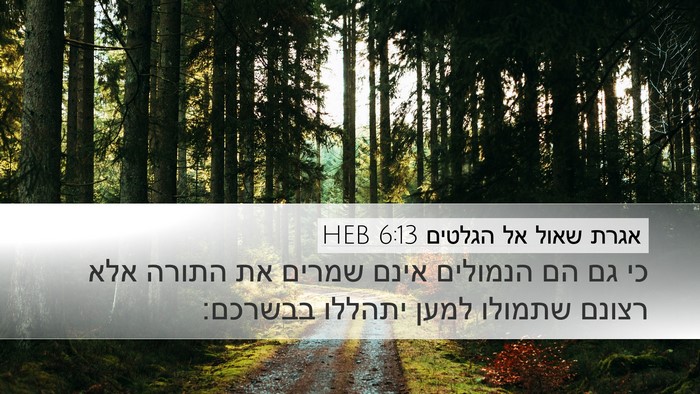 אגרת שאול אל הגלטים 6:13 HEB Bible Verse Image