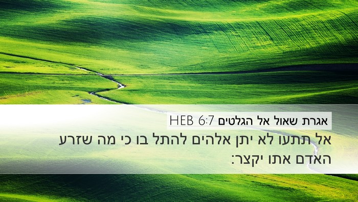 אגרת שאול אל הגלטים 6:7 HEB Bible Verse Image
