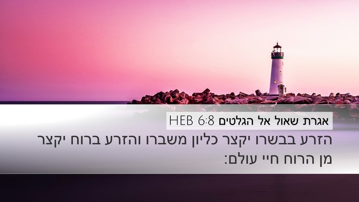 אגרת שאול אל הגלטים 6:8 HEB Bible Verse Image