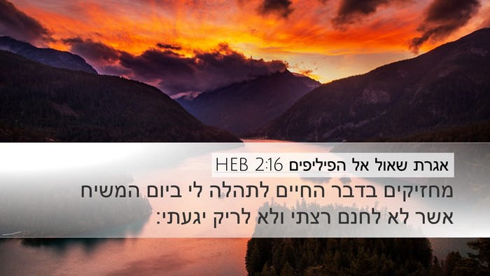 אגרת שאול אל הפיליפים 2:16 HEB Bible Verse Image