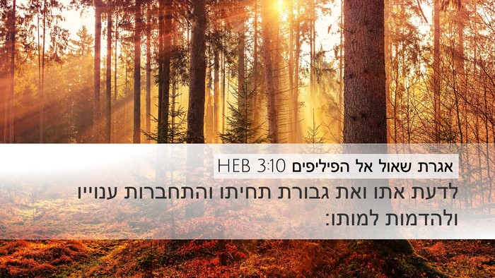 אגרת שאול אל הפיליפים 3:10 HEB Bible Verse Image