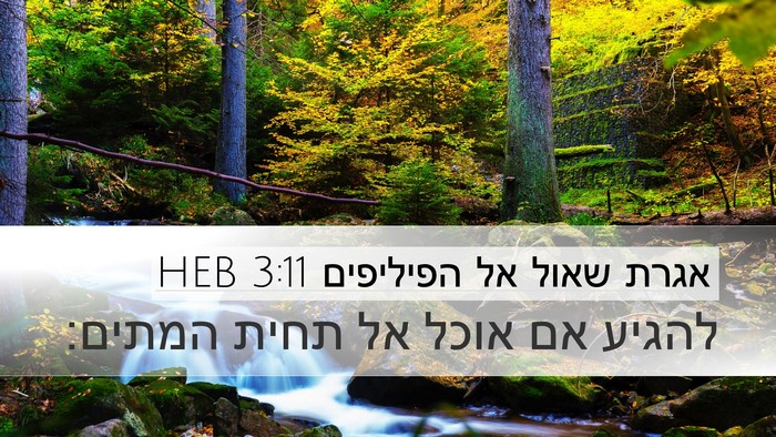 אגרת שאול אל הפיליפים 3:11 HEB Bible Verse Image