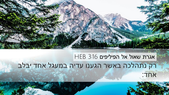 אגרת שאול אל הפיליפים 3:16 HEB Bible Verse Image